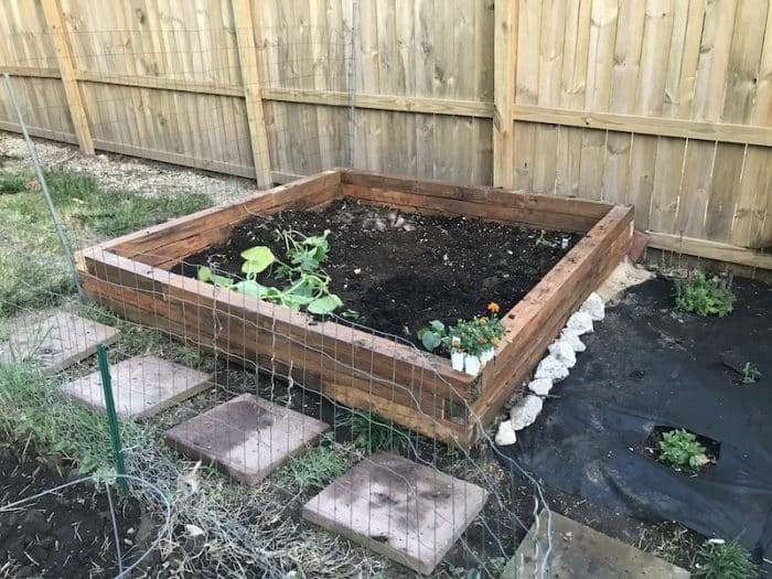 filled-raised-bed